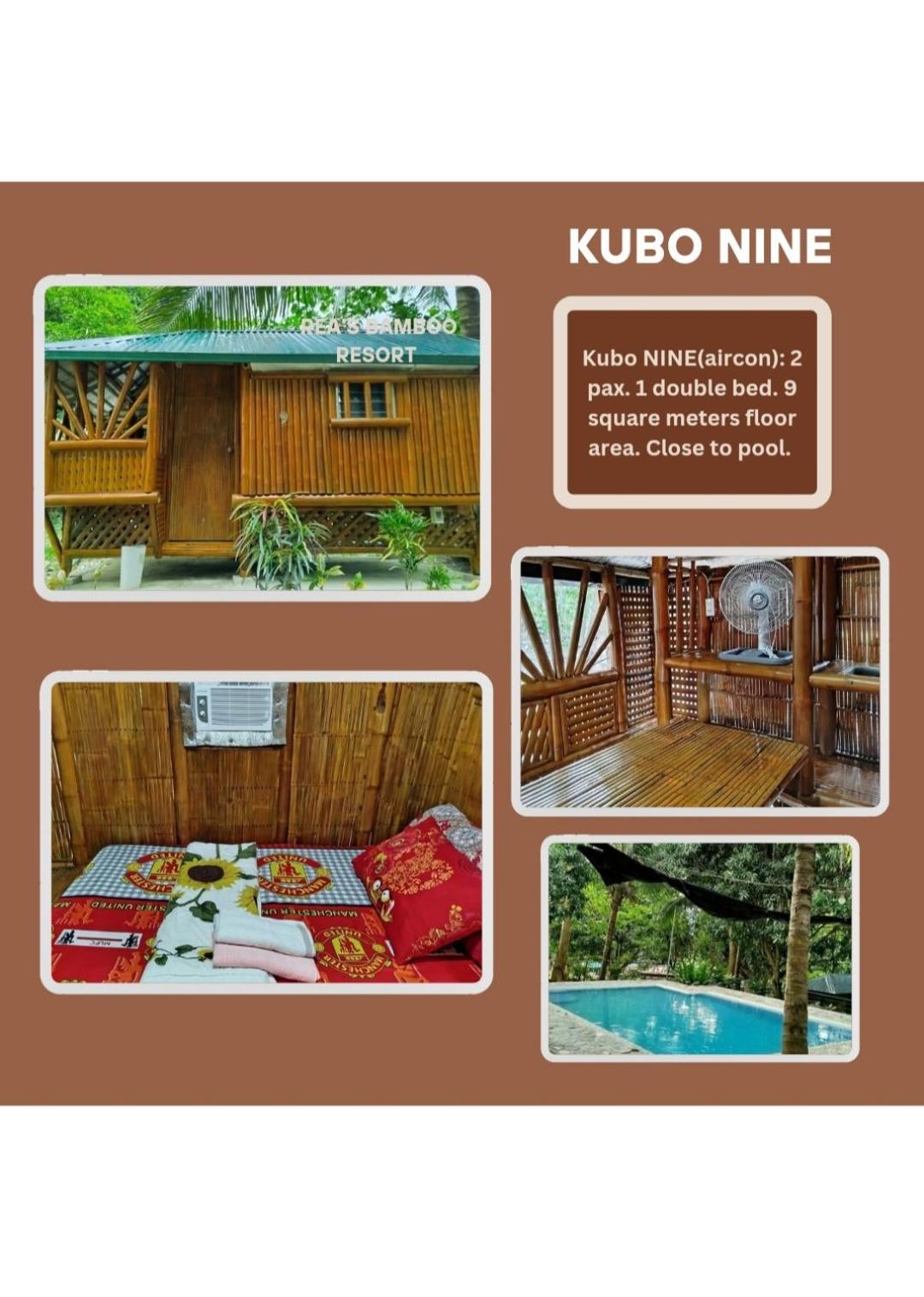 Rea'S Bamboo Resort Gabaldon Bilik gambar